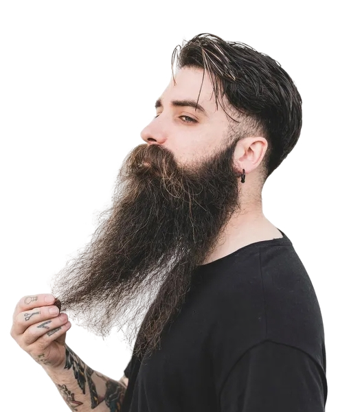 Balry Beard Grow